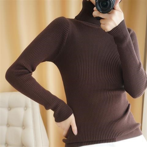 Turtleneck Sweater