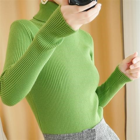 Turtleneck Sweater