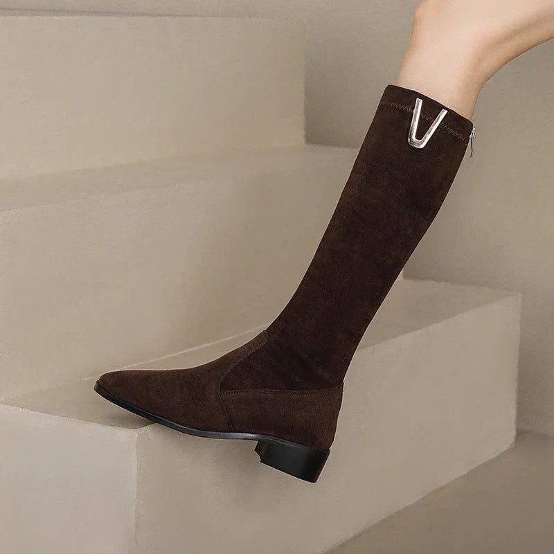 Women's Sweden Pointed Toe Ankle Boots with Side Zip
