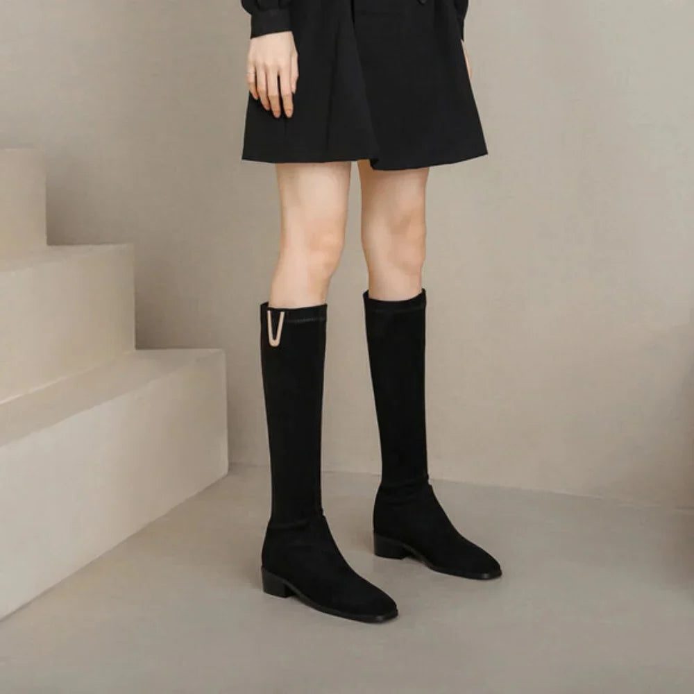 Women's Sweden Pointed Toe Ankle Boots with Side Zip