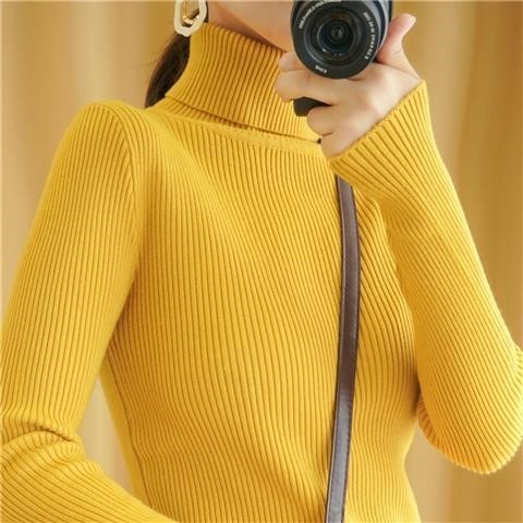 Turtleneck Sweater