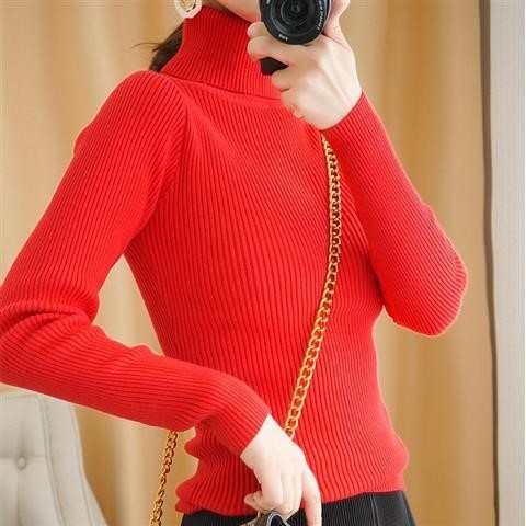Turtleneck Sweater