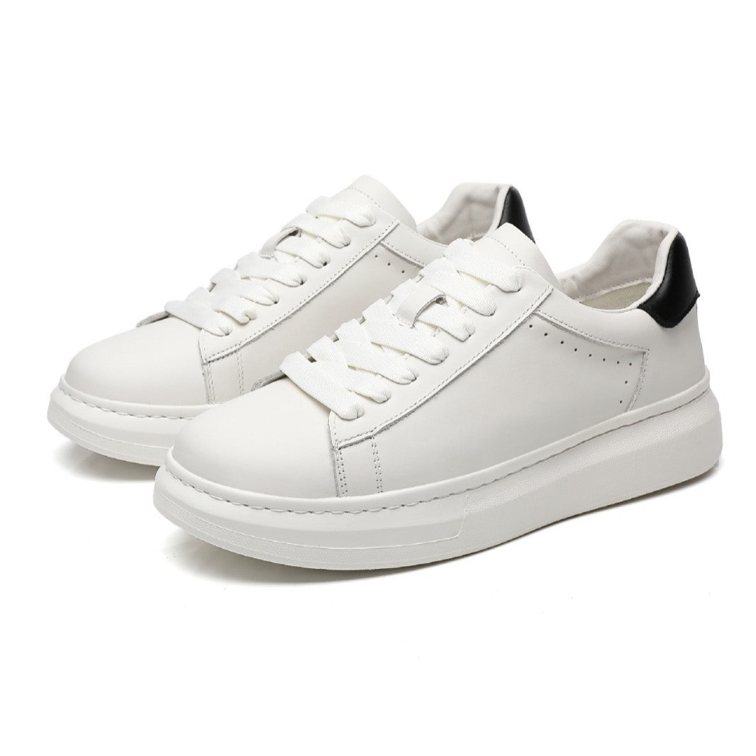 Harrington Street Sneaker