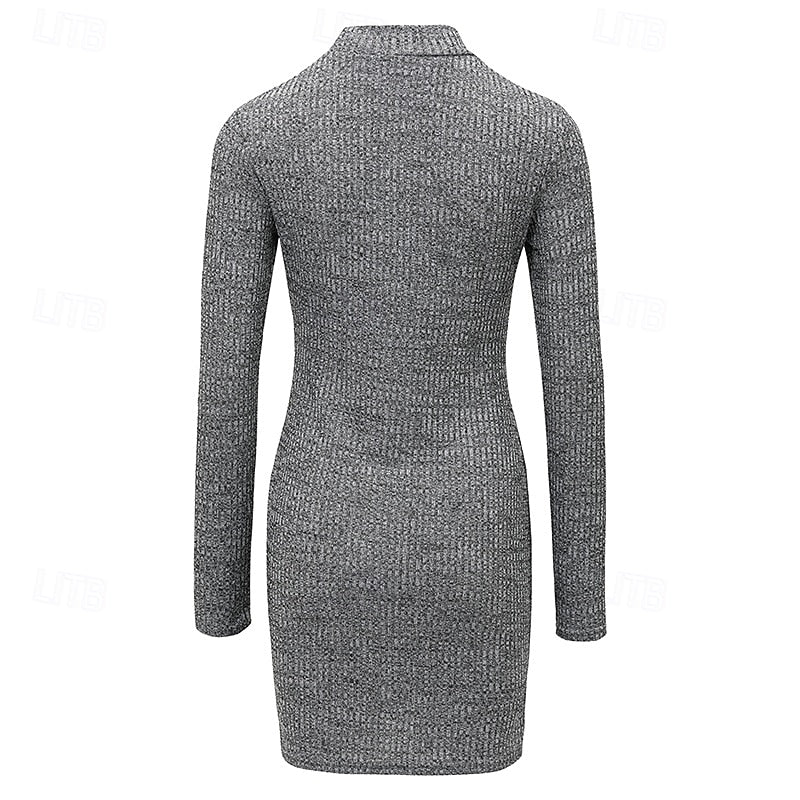 High Turtleneck Long Sleeve Ribbed Knit Sweater Dress for Women