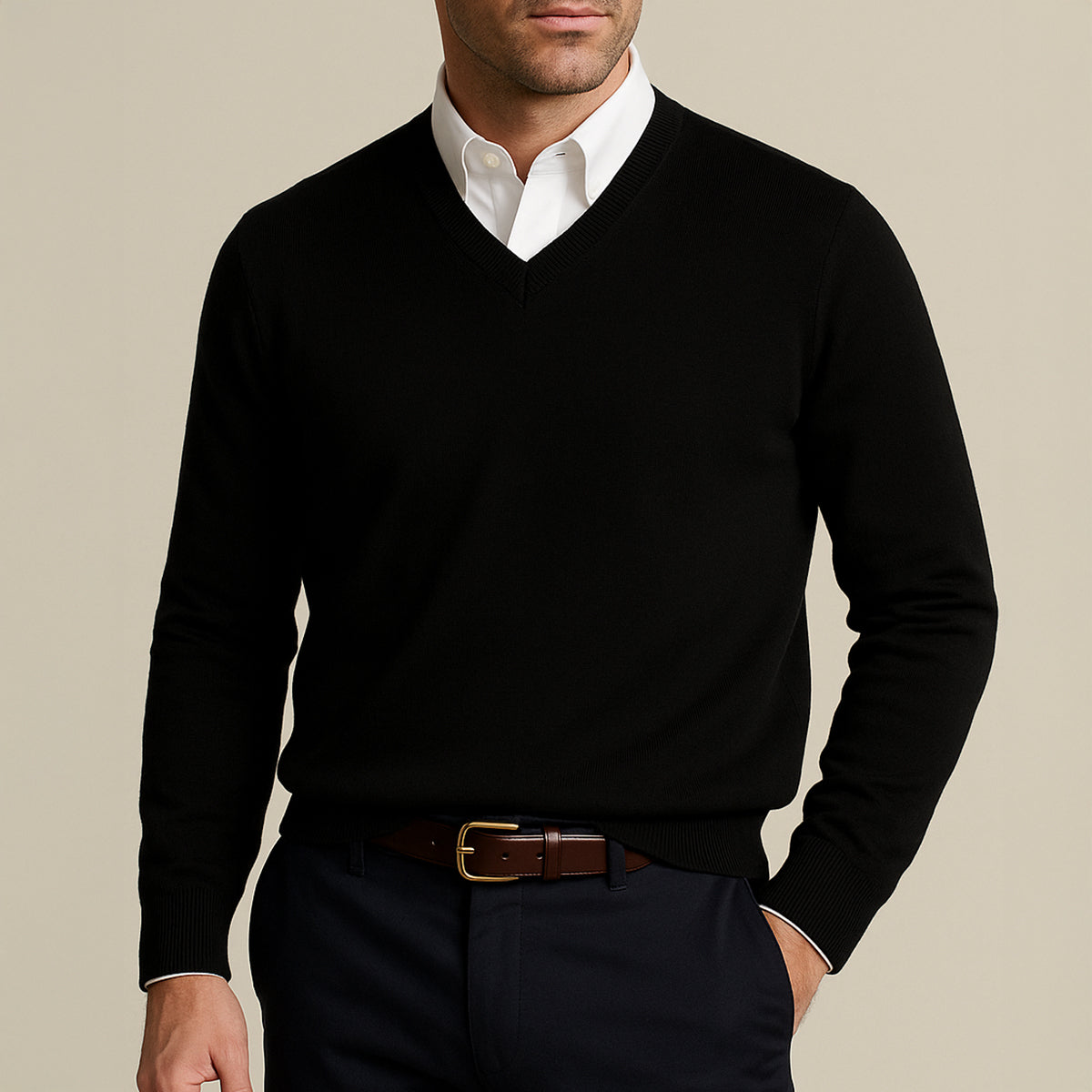 Regular Fit Long Sleeve V-Neck Sweater for Men