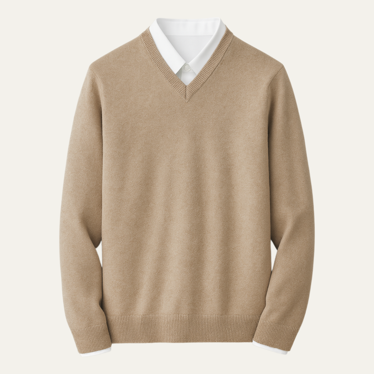 Regular Fit Long Sleeve V-Neck Sweater for Men