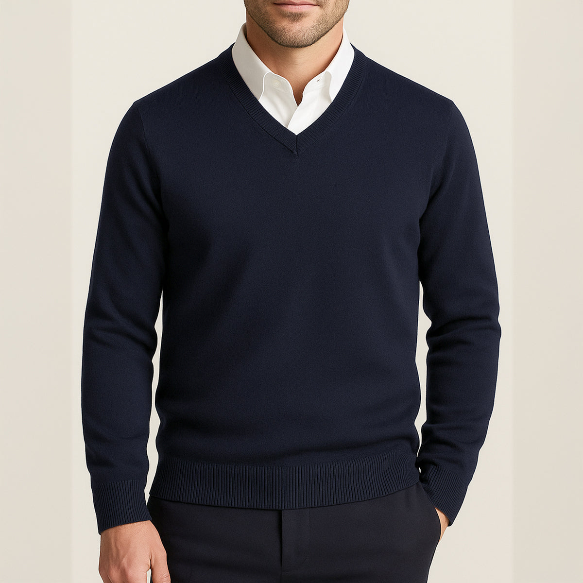 Regular Fit Long Sleeve V-Neck Sweater for Men